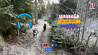 Skogpod 22. desember 2025