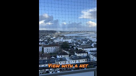 View with a net