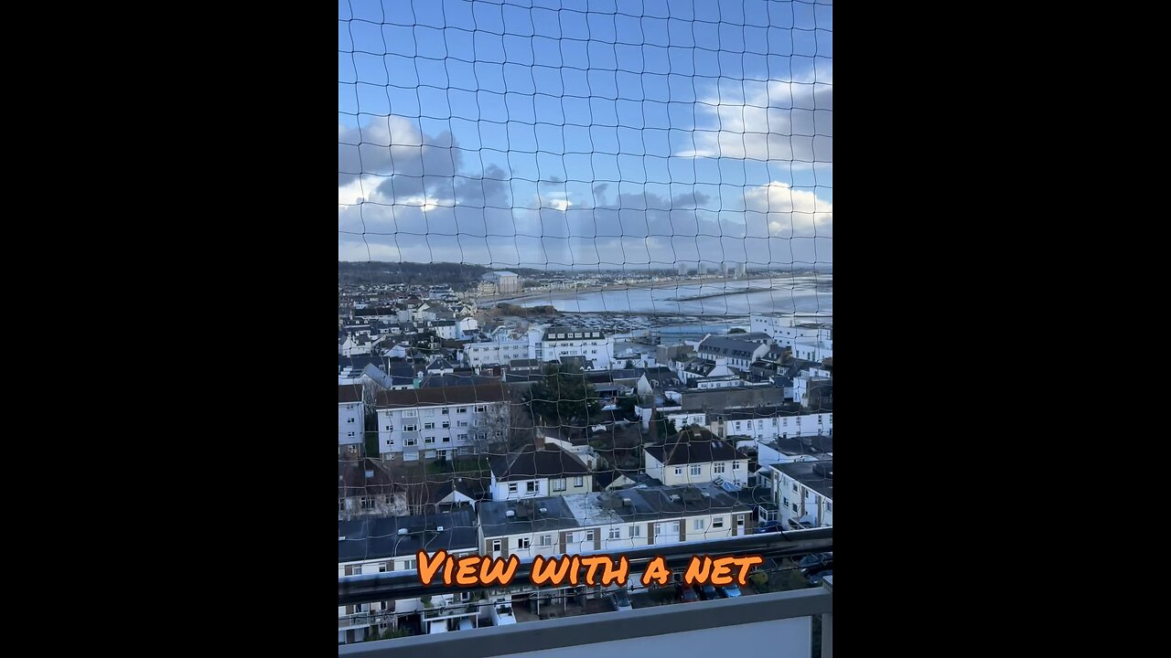 View with a net