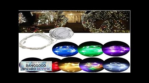 3M LED String Fairy Waterproof Petals Light Party Lamp Xmas Tree Wedding Review