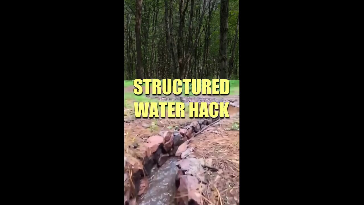 Dr. Explains How Simple It Is To Structure Your Water
