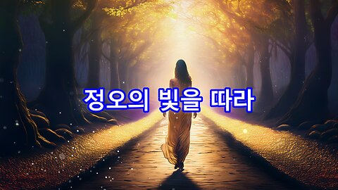 정오의 빛을 따라