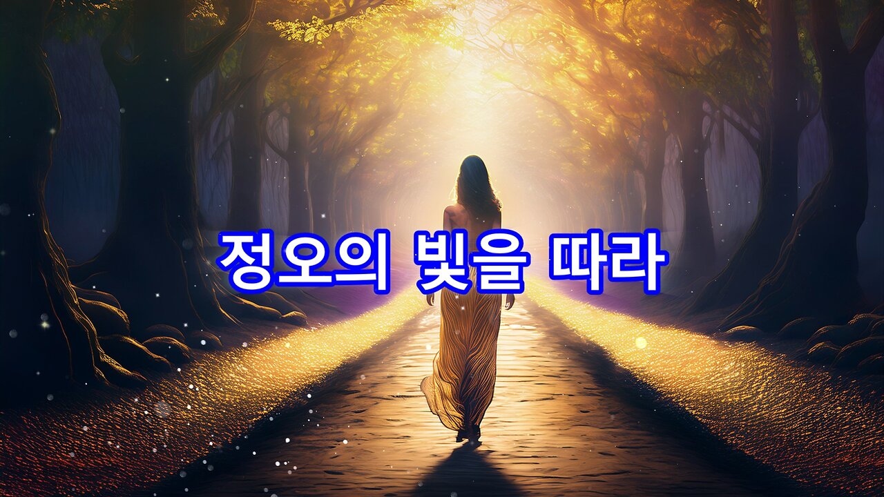 정오의 빛을 따라