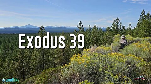 Exodus 39, Bible Reading in Nature, BSB