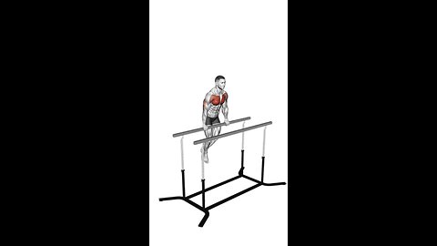 Straight Bar Dip Exercise.