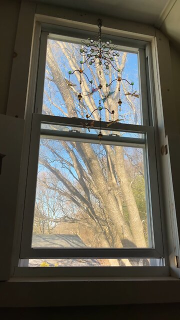 Socials are ruined. They inserted their team.