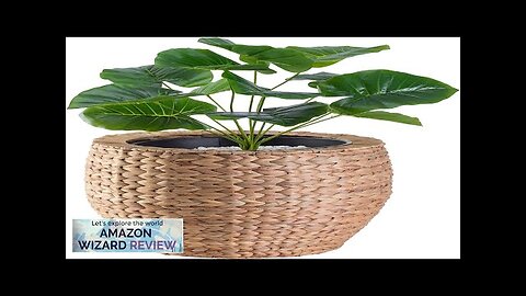 Vintiquewise Water Hyacinth Round Floor Planter with Metal Pot (Large) Review