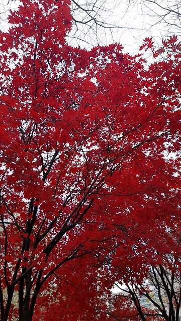 20251129. Remember God.