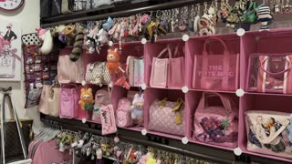 Updated Closet Tour! Bag & Accessories Organization🌸