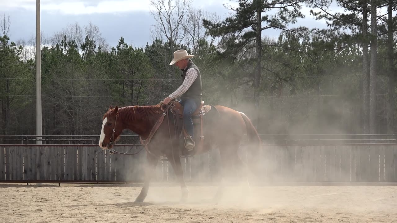 A Few Exercises to Help with Flying Lead Changes