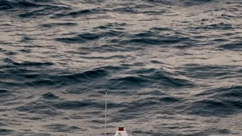 Daily Horoscope | Cancer 🌟