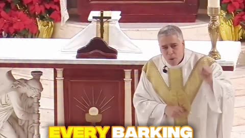 Don't Argue with Every Barking Dog: Stay Focused on Your Destination | Fr. Mark Beard