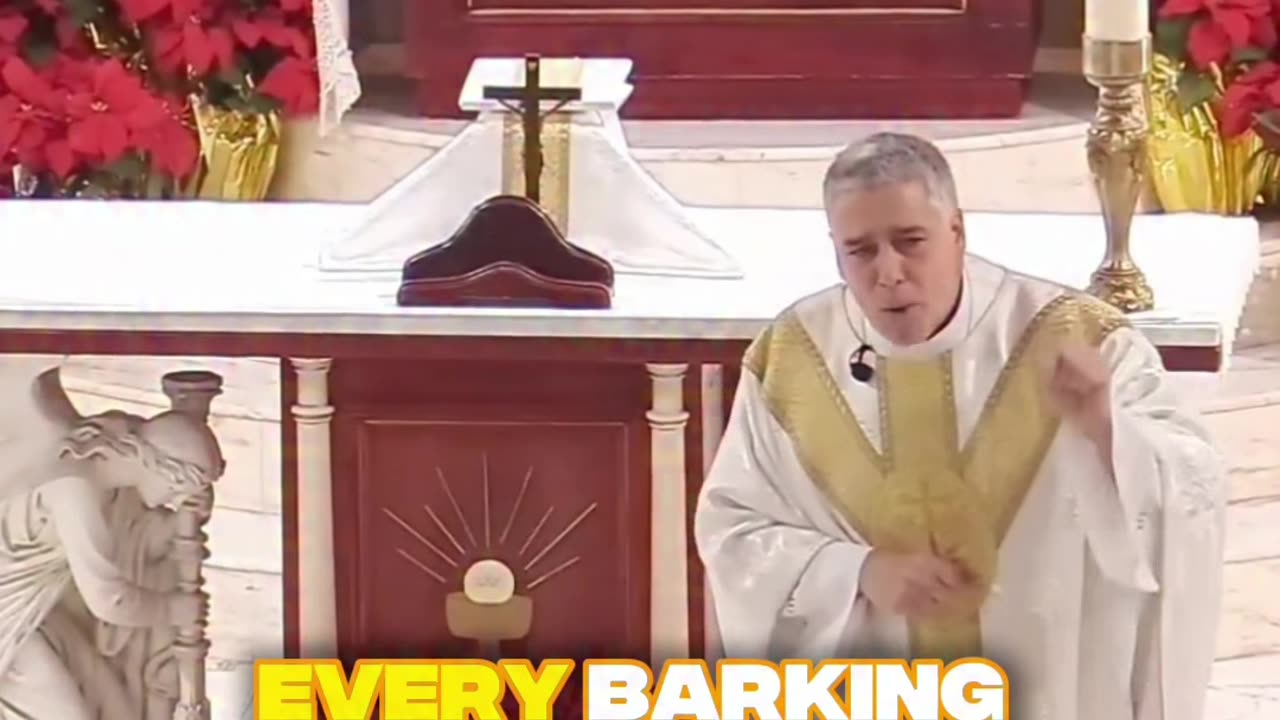 Don't Argue with Every Barking Dog: Stay Focused on Your Destination | Fr. Mark Beard