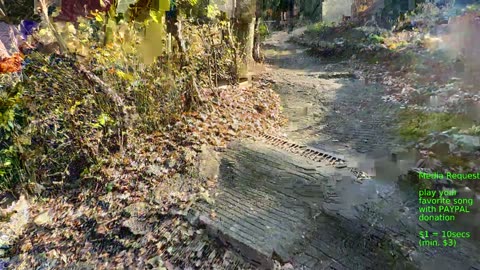 🔥I lost 10kg(22lbs) Busan Korea irl 釜山 韓国