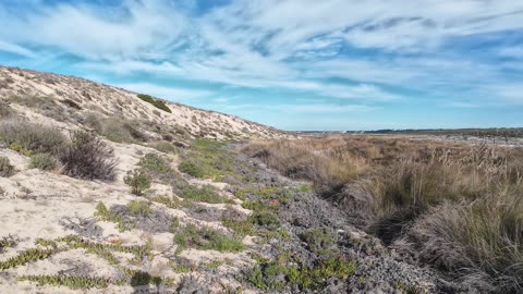 Chripmaz Trekking and Birdwatching in Lagoa de Sto Andre 26th DEC 2025 pt 9