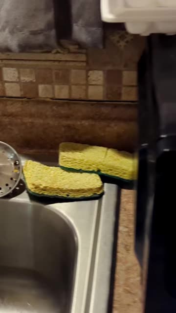 Andrew “Accidentally” Purchased a Child's Toothbrush (December 2025)