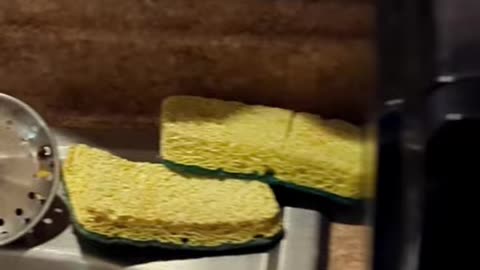 Andrew “Accidentally” Purchased a Child's Toothbrush (December 2025)