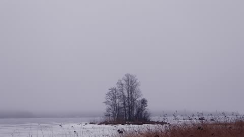 Winter fog
