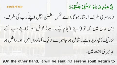 The Daily Quran