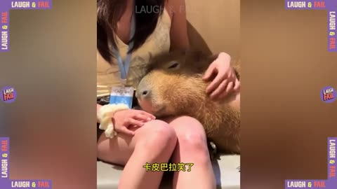 Women Embarrassing Moments Caught on CCTV #2 _ Try Not To Laugh _ Instant Regret