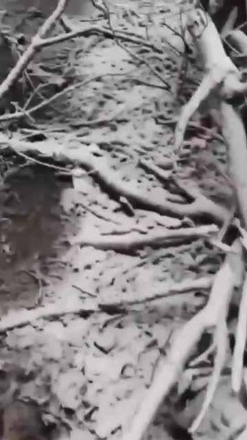 Russian Clean-Up Crews Struggling to Recover the Dozens of Frozen KiA