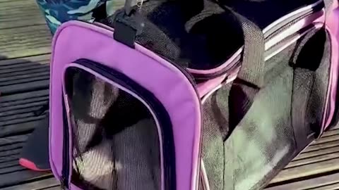 Soft Sided Foldable Pet Carrier Bag With Shoulder Strap & Mat