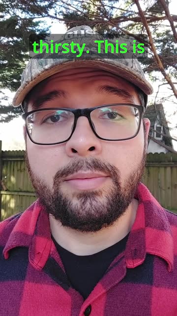 Lumberjack thirst traps EXPOSED!