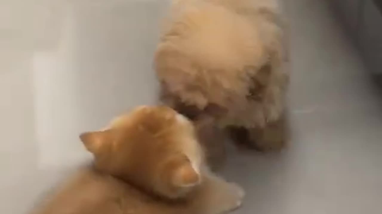 What are they doing? r