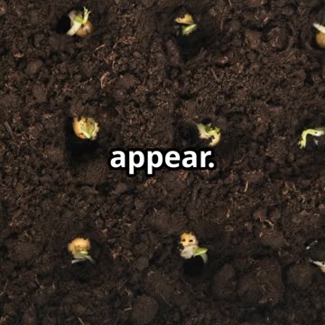 Stop Buying Herbs! Grow THESE at Home Instead 🌿🔥