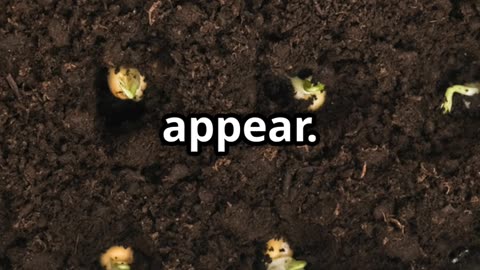 Stop Buying Herbs! Grow THESE at Home Instead 🌿🔥