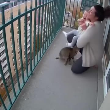 Cat saves child from balcony fail