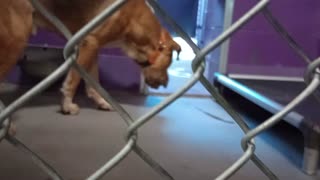VID_20250926_125500517