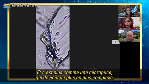 Agenda 1 Fusion de la biologie avec la technologie. Le vaccin polio et les matériaux auto-assemblés