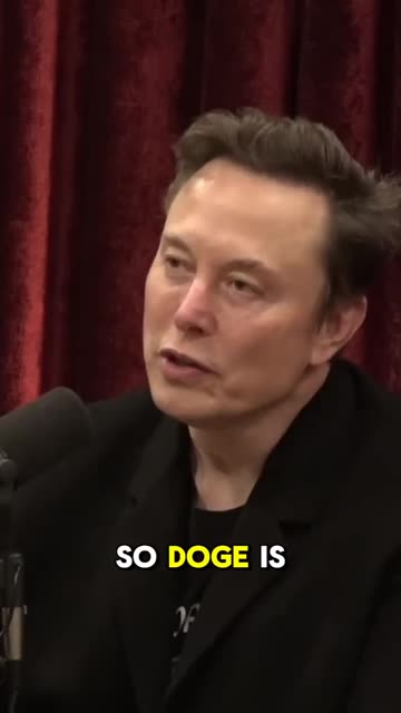Elon Musk on DOGE
