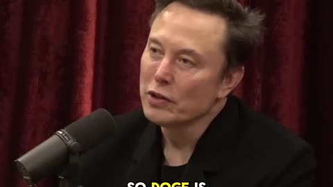 Elon Musk on DOGE