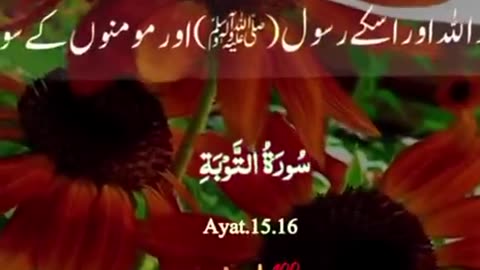 Beshak 💯☝️🕋🙏