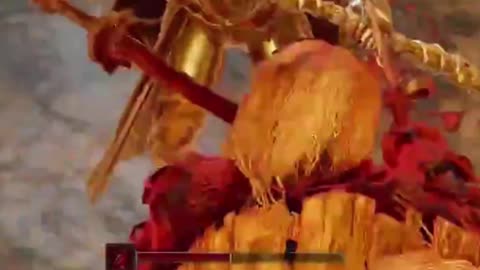 Most Elden Ring Invasions in a Nutshell: #eldenring