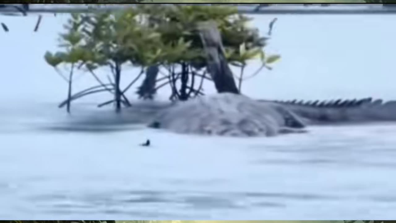 😱👻 The Poltergeist Activity That's Baffling Experts! | TheHauntingHour