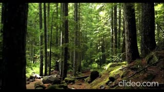 Domo Genesis X Evidence - CLOCKING2U (VIDEO)