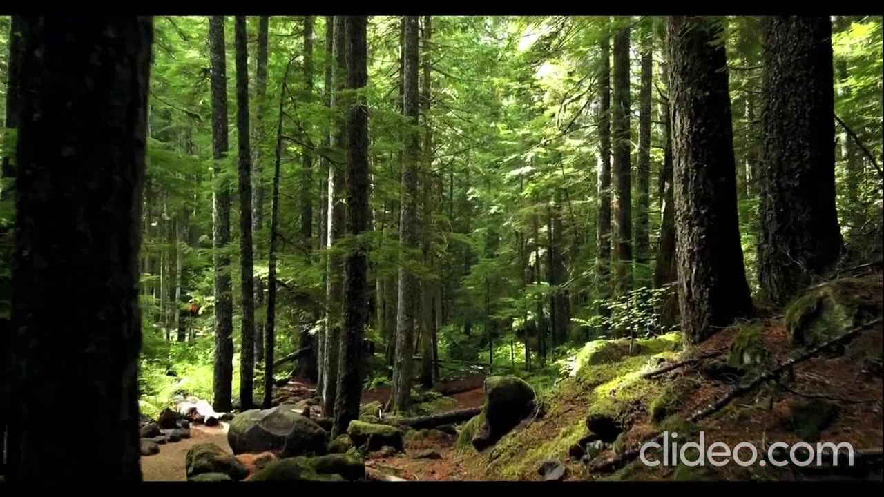 Domo Genesis X Evidence - CLOCKING2U (VIDEO)