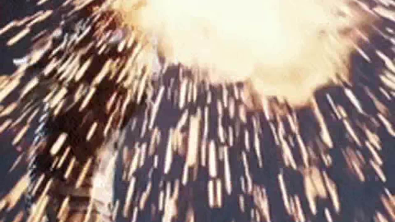 jogos de video games.mp4