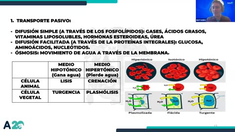 AULA 20 REGULAR 2026 - 1 | Semana 02 | Biología S1