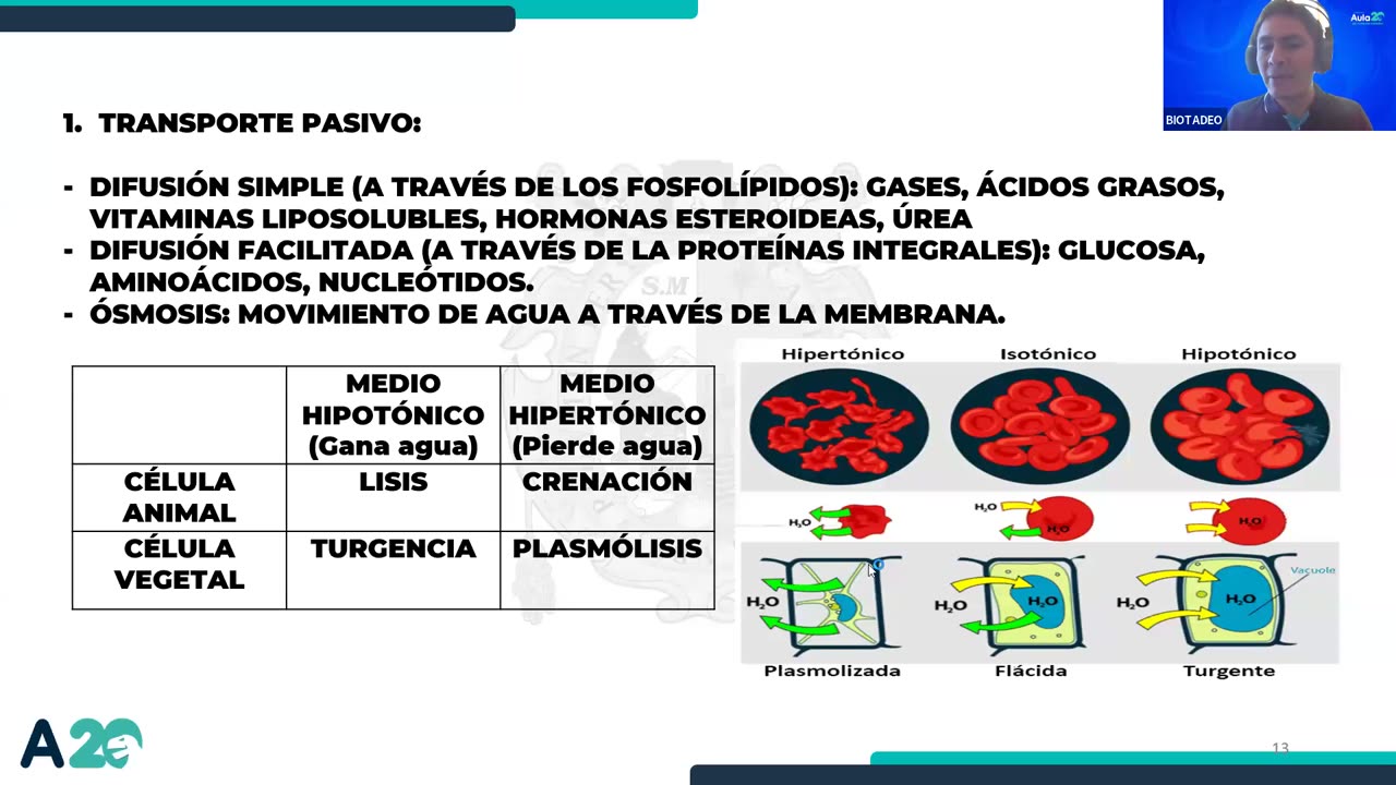 AULA 20 REGULAR 2026 - 1 | Semana 02 | Biología S1