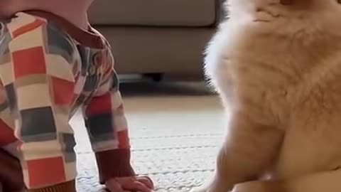 Cute Kid Playing with a Friendly Dog | Funny & Heartwarming Moments