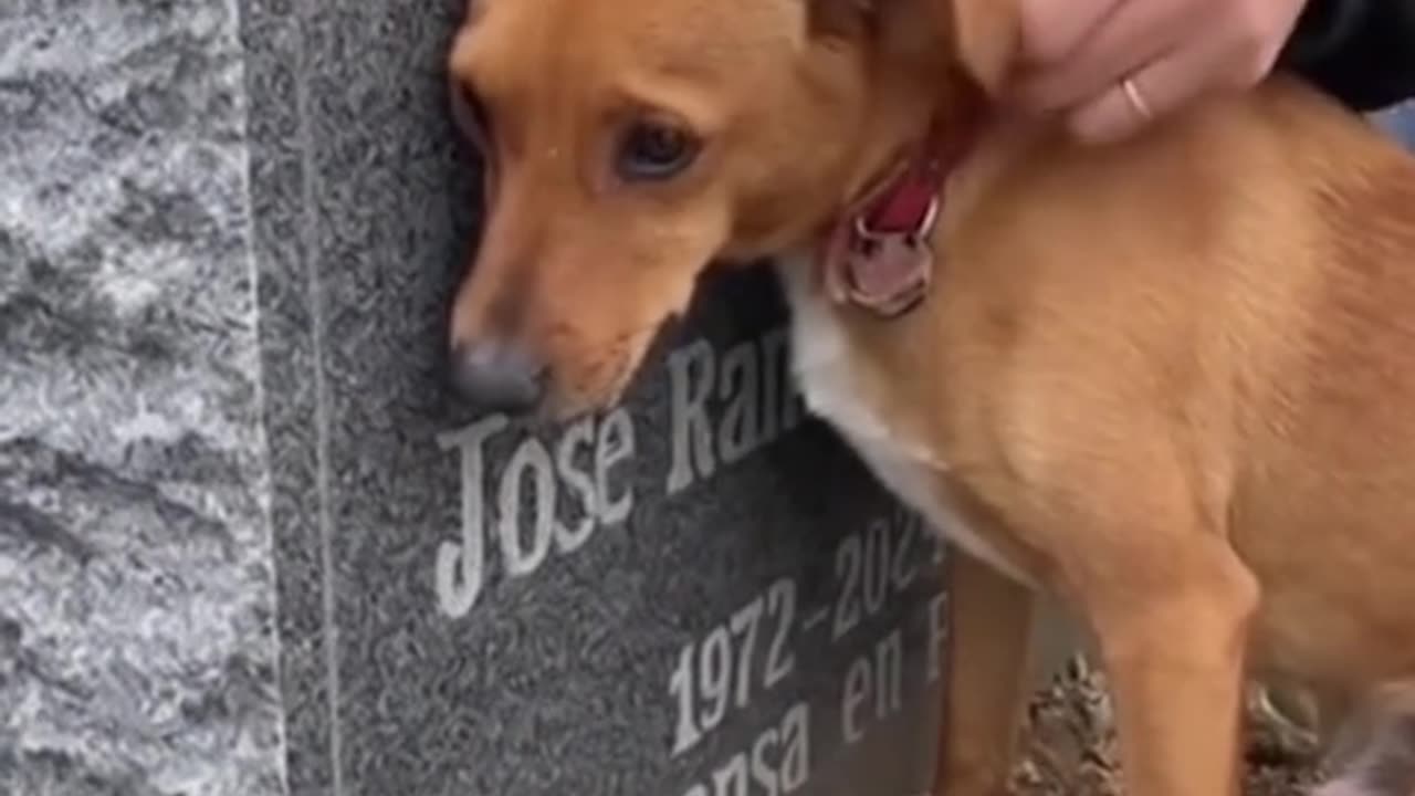 I MISS YOU SOOOOOO MUCH 😥