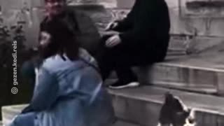 Un vínculo inesperado entre un hombre y un gato callejero