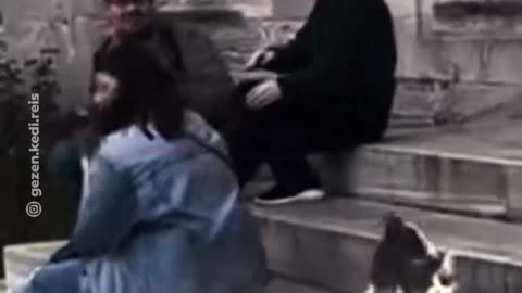 Un vínculo inesperado entre un hombre y un gato callejero