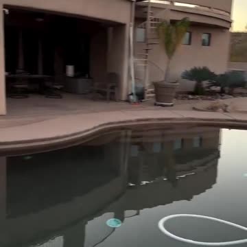 Spectacular demonstration of a vortex cannon