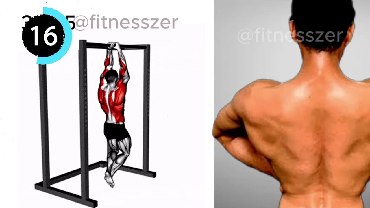 Commando Pull-Up & Behind The Neck Pull-Up #shots #fitnesszer #shorts #backworkout #backexercises