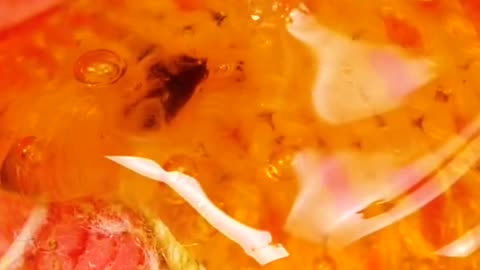 From simple fixes to wild creations - glue gun magic🔥